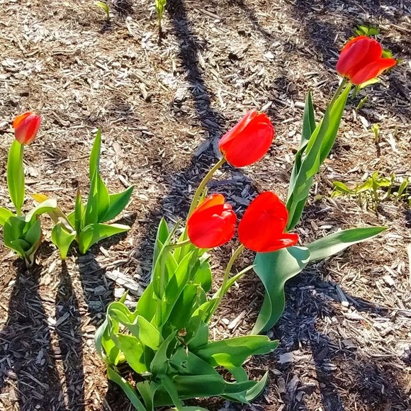 Meet your Posher, Marit - Picture 1 of 1